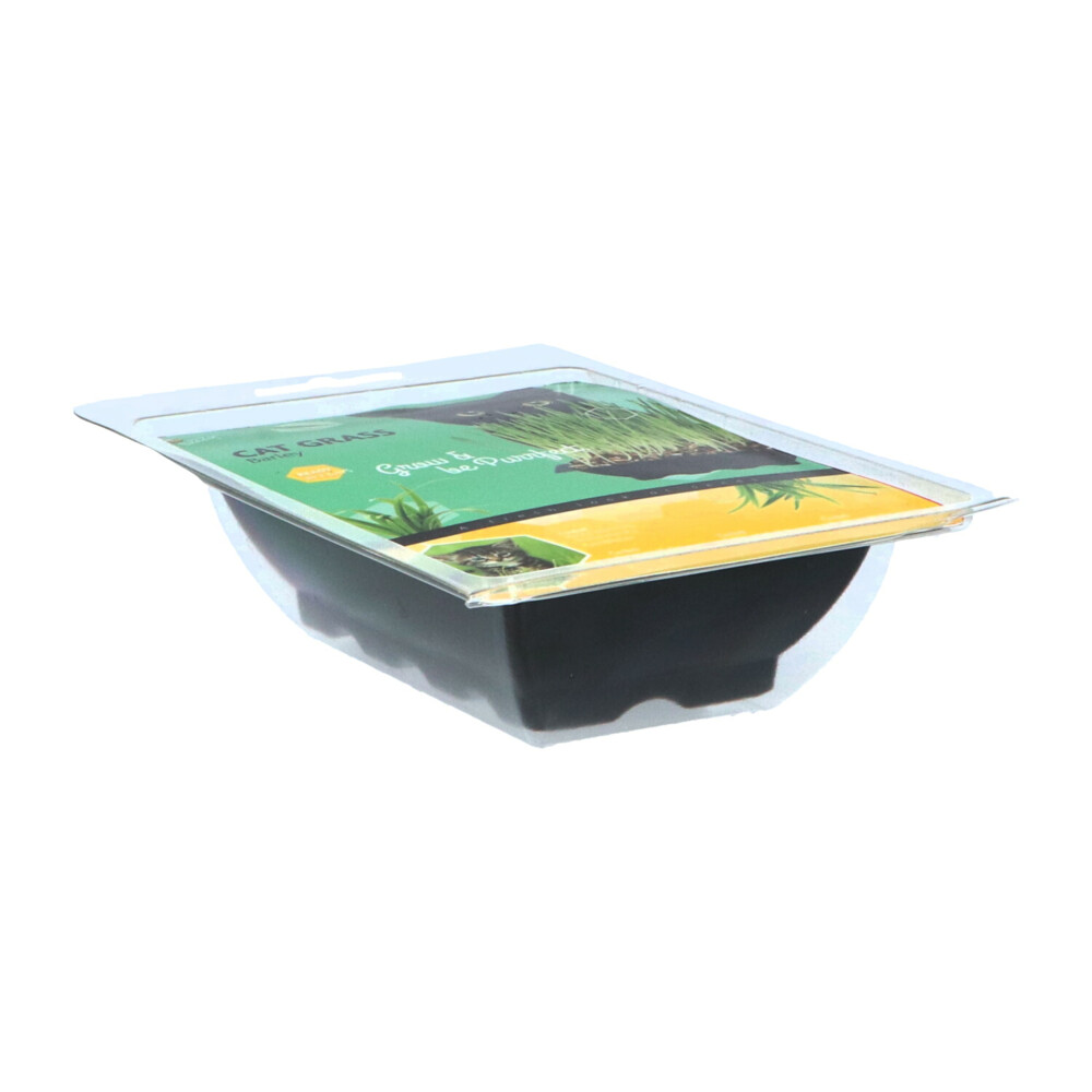 Buzzy Kattengras 50 gr