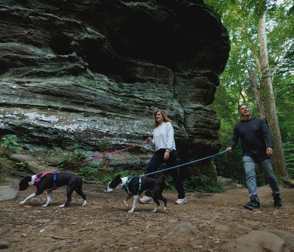 RUFFWEAR® Hundegeschirr Hi & Light™ Harness