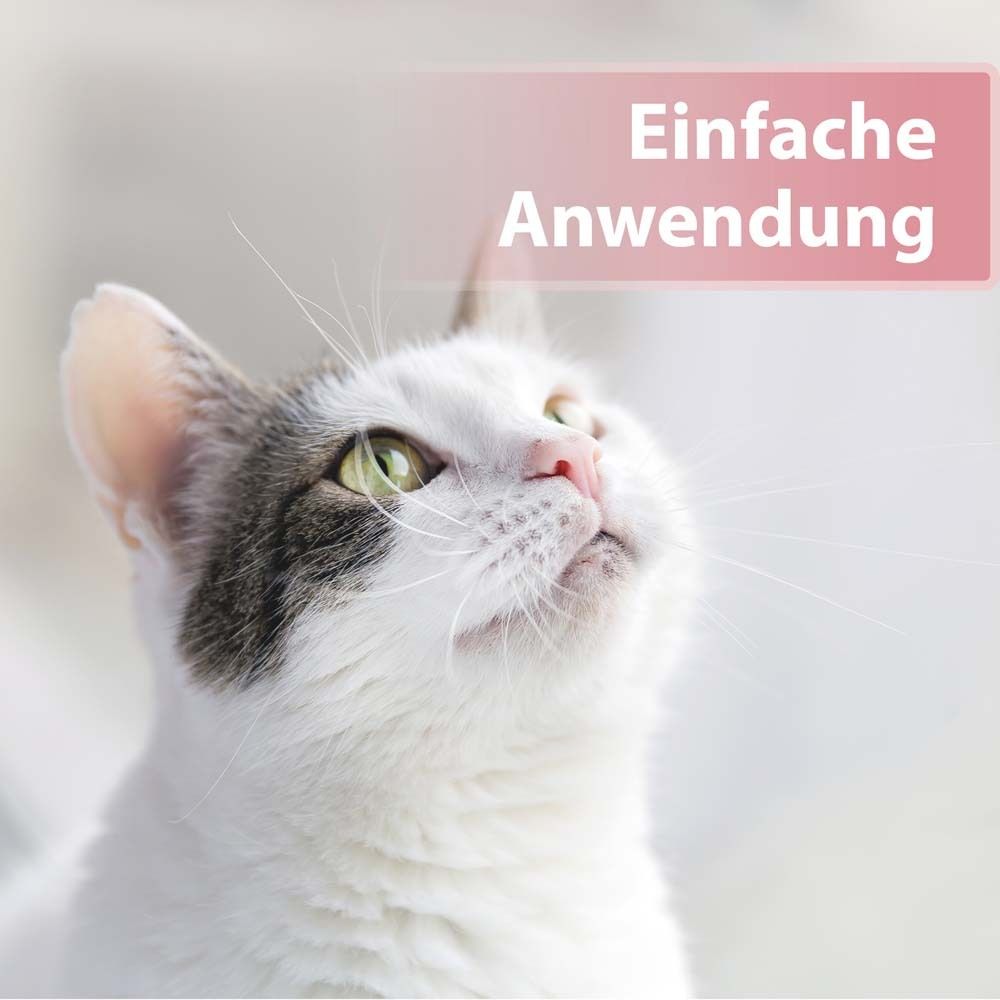 Felisept® Augenpflege-Pads für Katzen