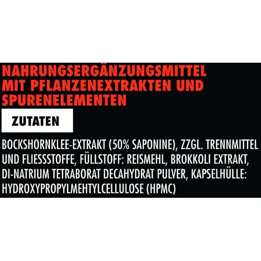 Big Zone Bor+