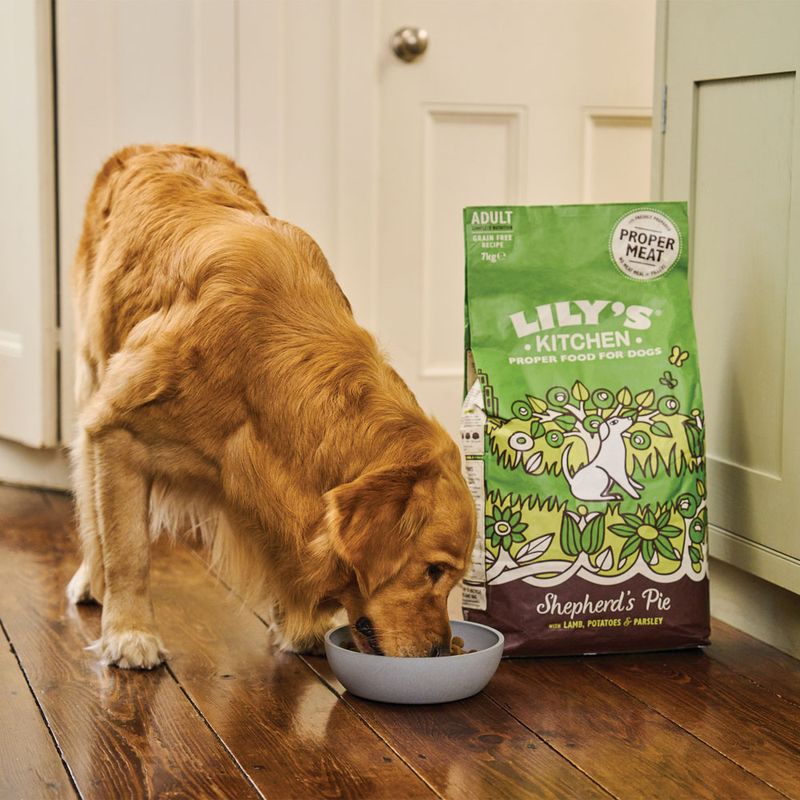 Lily's Kitchen Adult agneau pour chien
