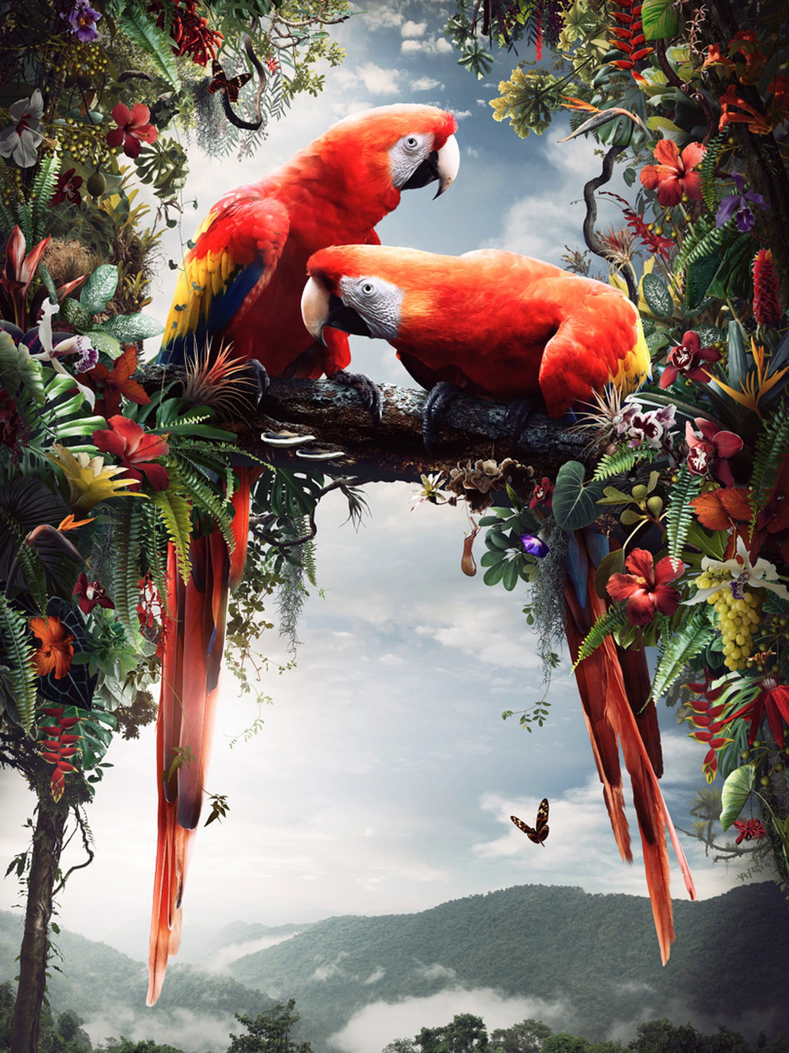 In Paradisum I by Jesper Krijgsman - Darlings - Small Limited Edition. 30x40.