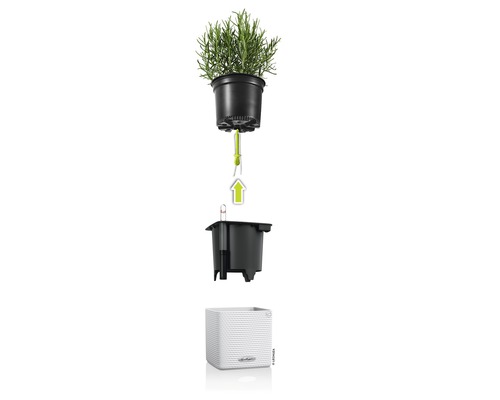 Lechuza Cube Color kunststof bloempot, 14x14x14 cm, wit, inclusief zelfbewateringssysteem en waterniveau-indicator