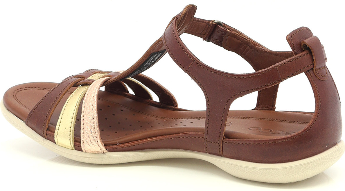 81479 ECCO