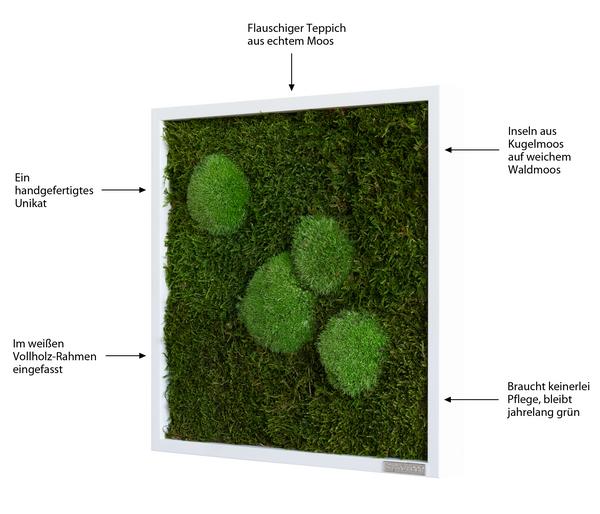 styleGREEN Bild aus Wald- und Kugelmoos,