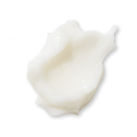 Evolve Après-shampoing réparateur Monoï