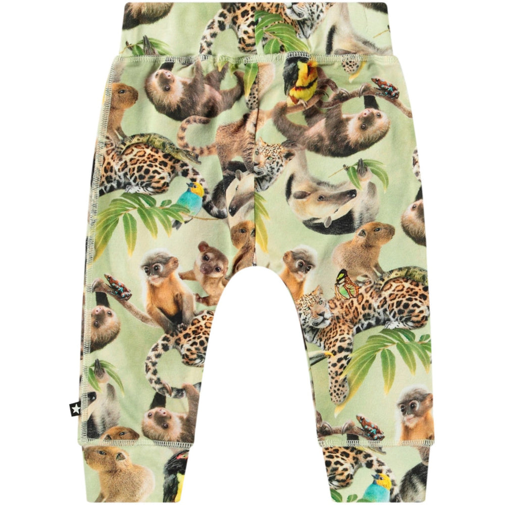 Køb Molo Jungle Cubs Sammy Soft Bukser