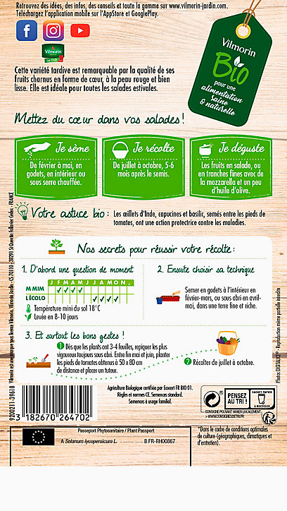 Graines de Tomate cœur de bœuf bio