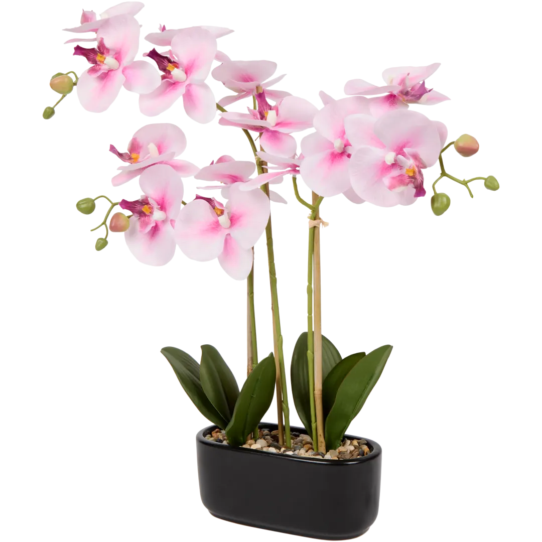 Orchidée artificielle en pot