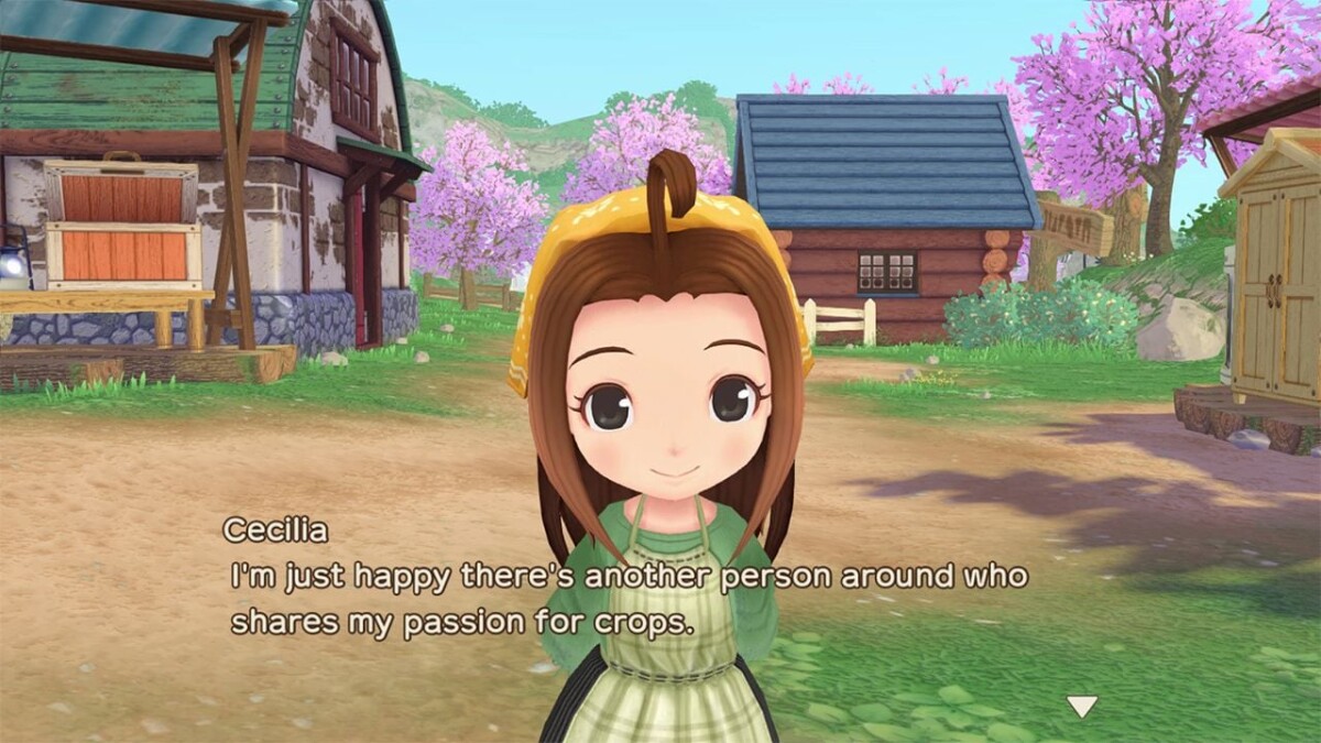 Story Of Seasons: A Wonderful Life - Limited Edition - PS5
