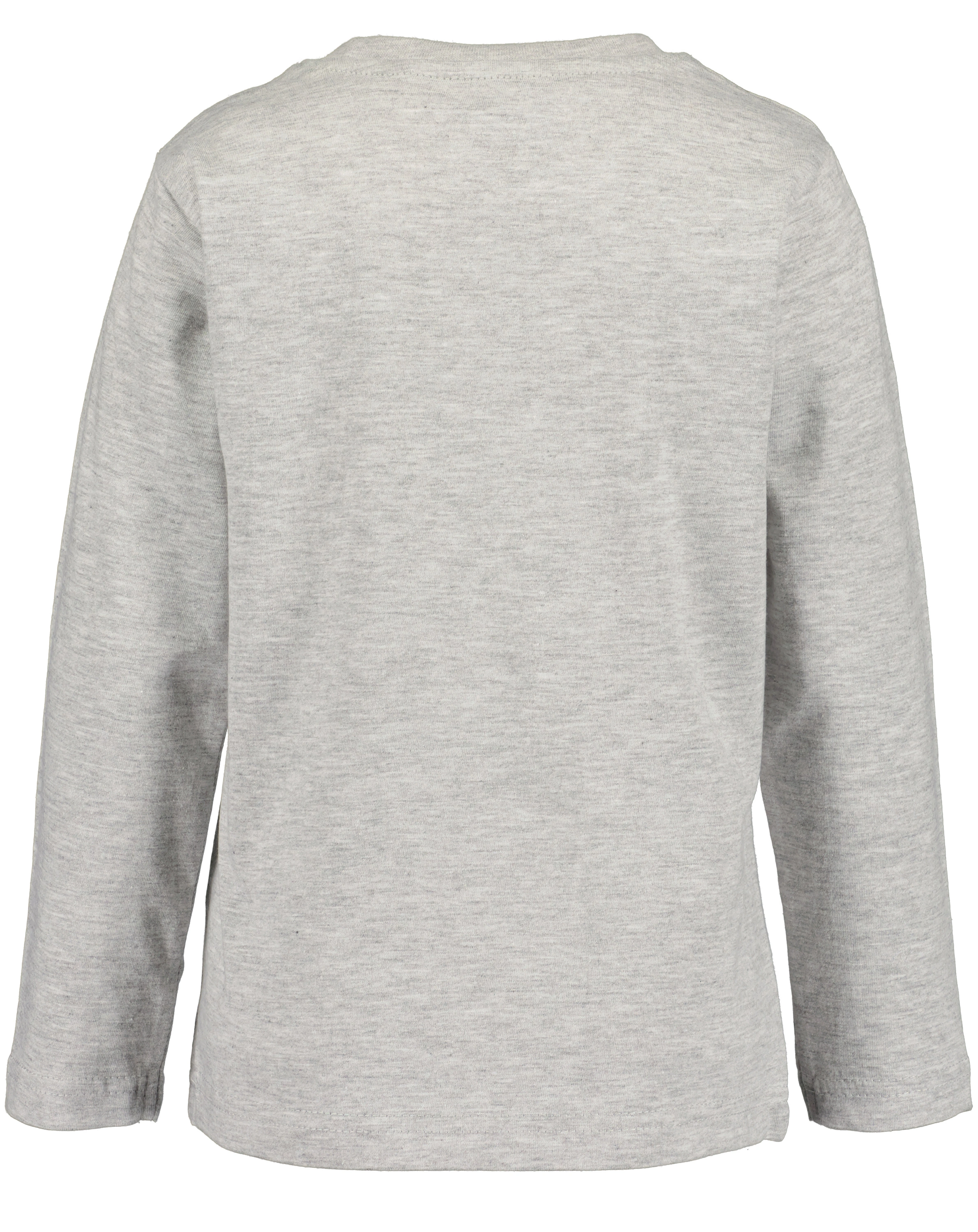 Langarmshirt WILD ONE in nebel