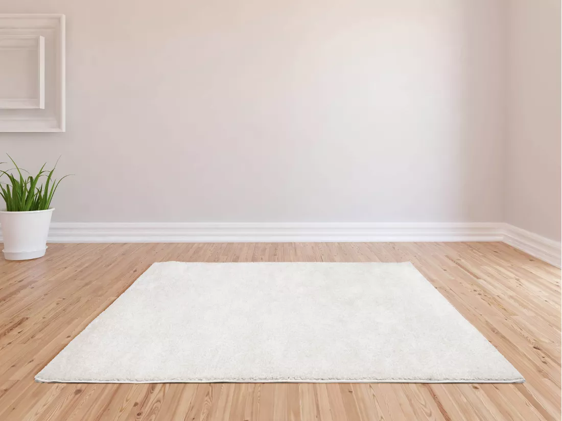 Tapis shaggy à poils longs - 120 x 170 cm - Blanc - MILINIO