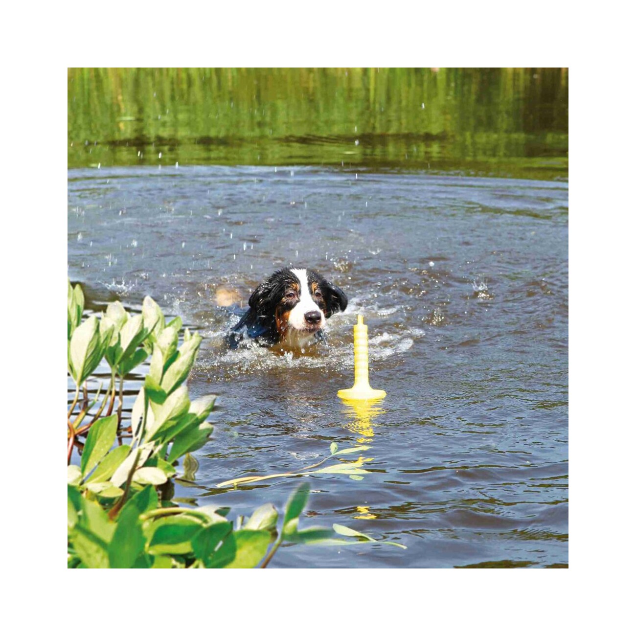 Trixie Aqua Toy MOT®-Aqua