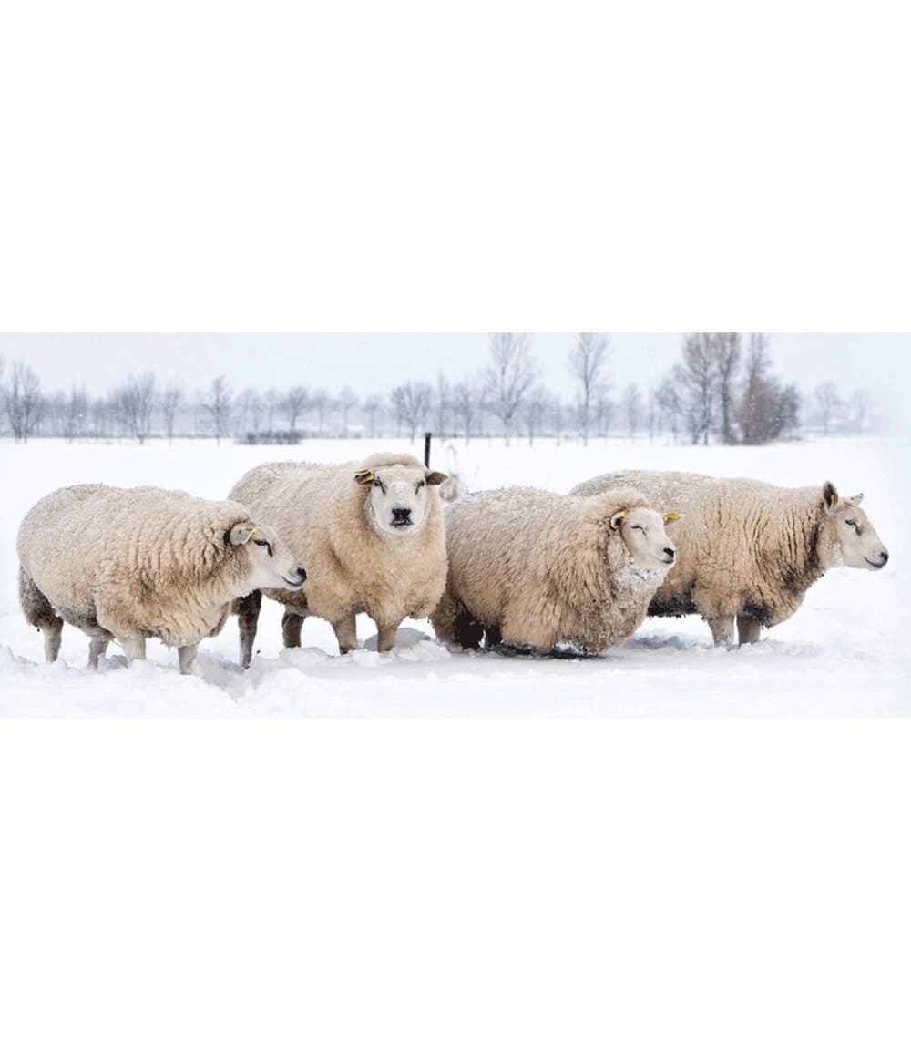 Wollkordel aus Schafwolle 'grau' 3 m