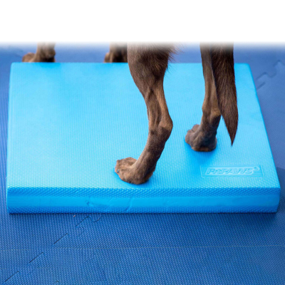 FitPAWS Balancierkissen Balance Pad