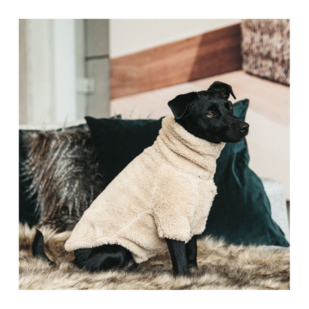 Kentucky TEDDY FLEECE - Chemise polaire pour chien beige