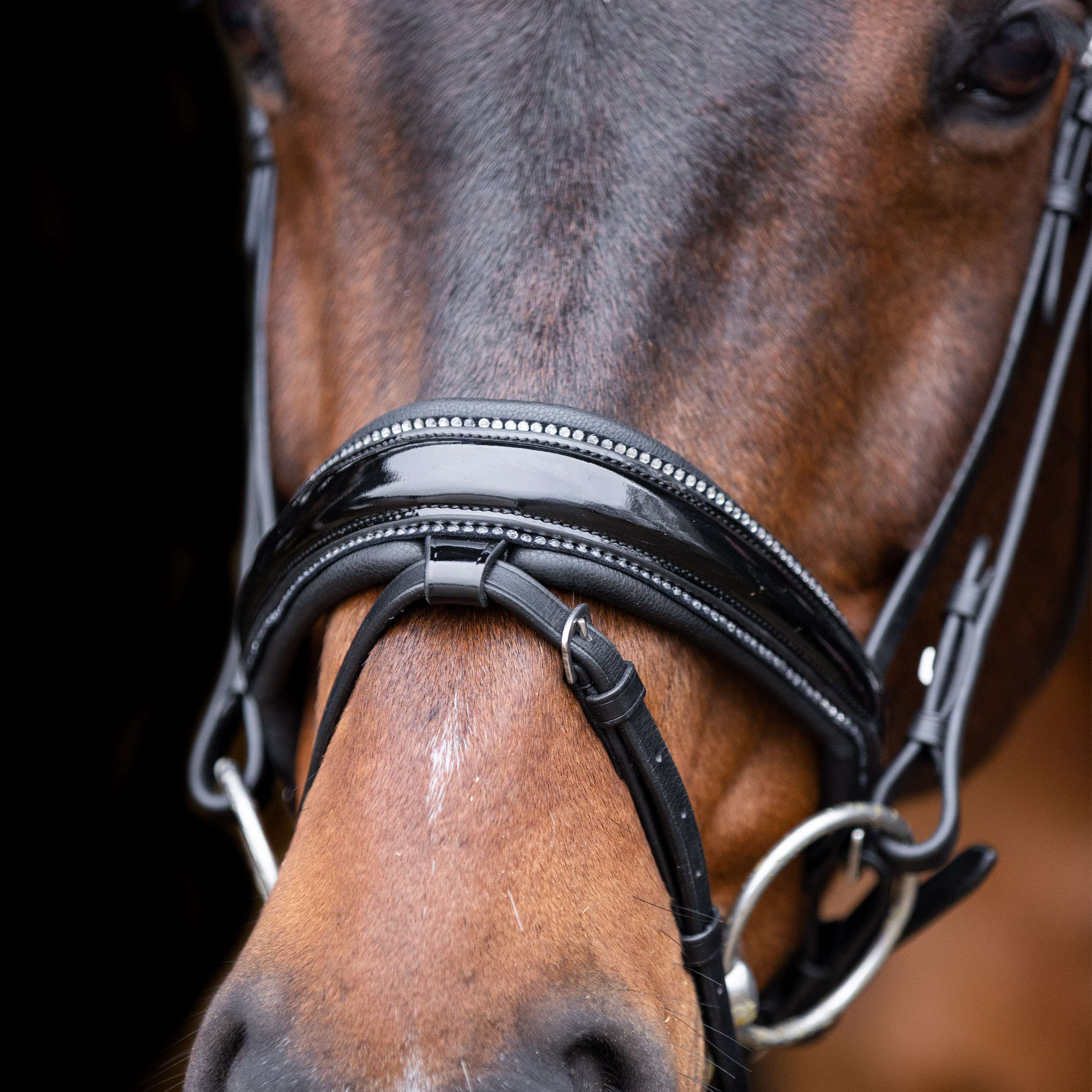 Imperial Riding Hoofdstel IRHOlympia Zwart/Zilver