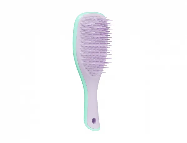 TANGLE TEEZER_The Wet Detangler Mini Hair Brush Wisteria Leaf