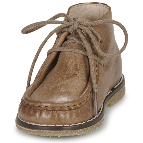 Little Mary - JACK - Marron