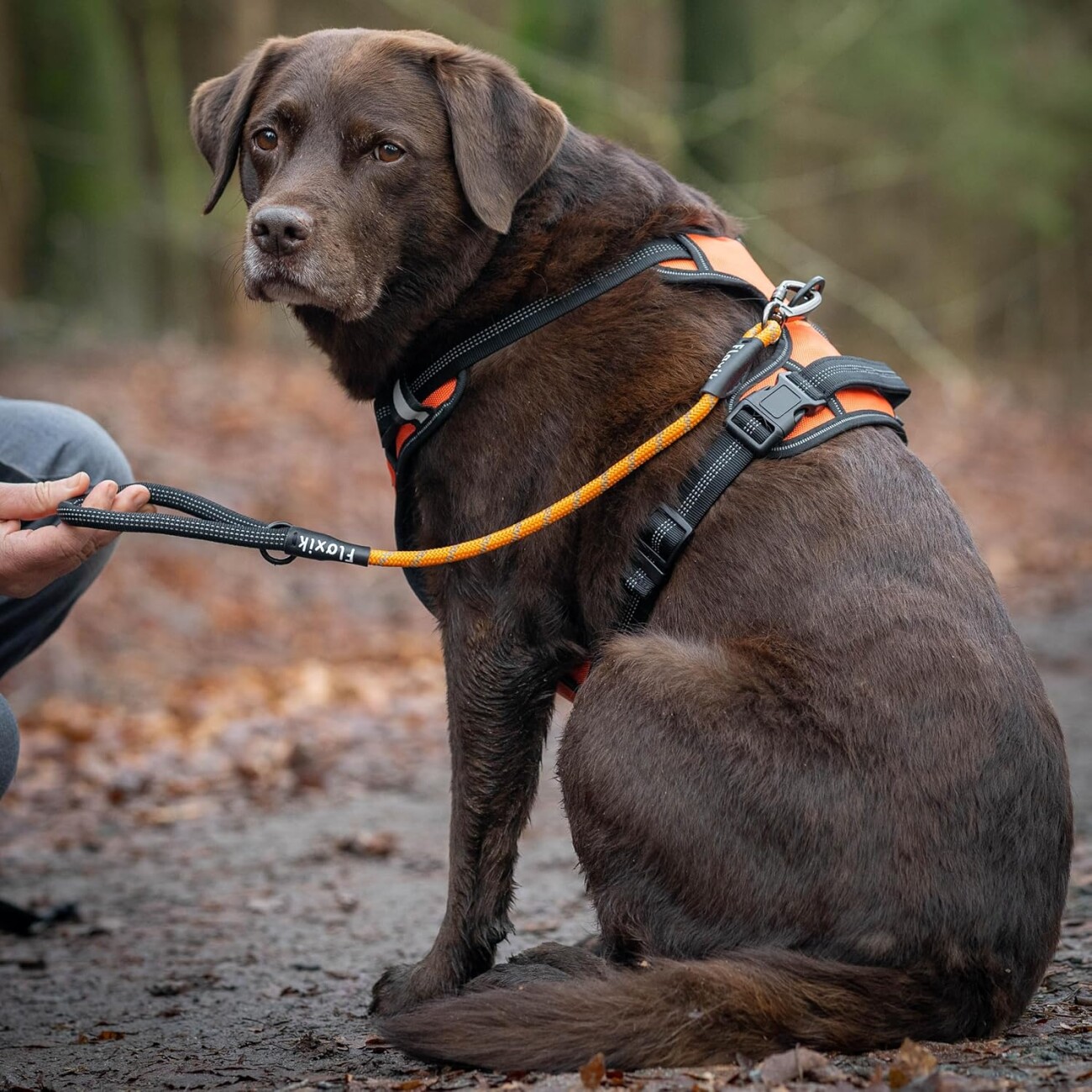 Floxik Kurzführer für Hunde - Kurzleine aus Kletterseilmaterial orange L
