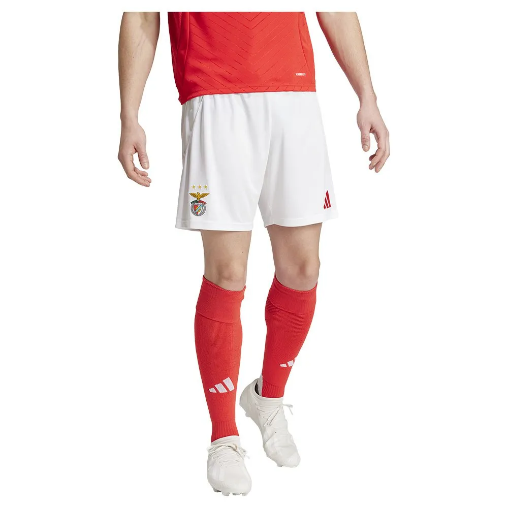 adidas Benfica 24/25 Heim kurze hose