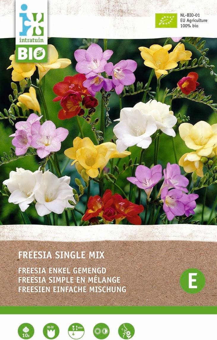 Intratuin biologische bloembollen Freesia gemengd 10 stuks