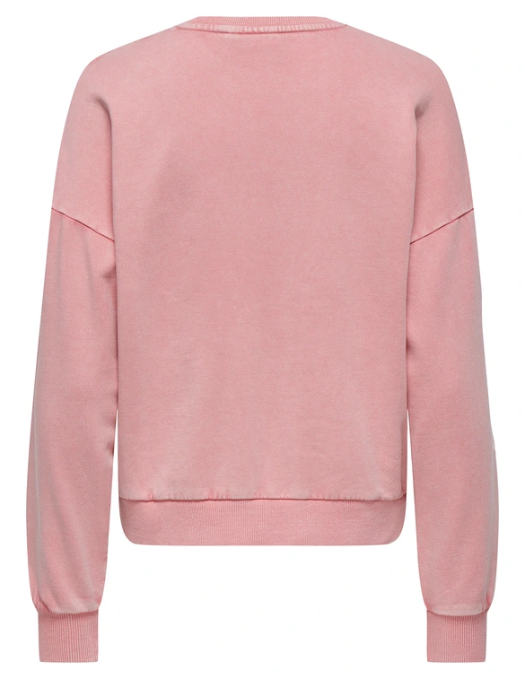 Only Sweater Penelope 15337220