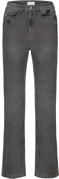 Fabienne Chapot, Dames, Jeans, Grijs, Maat: W28 Katoen,