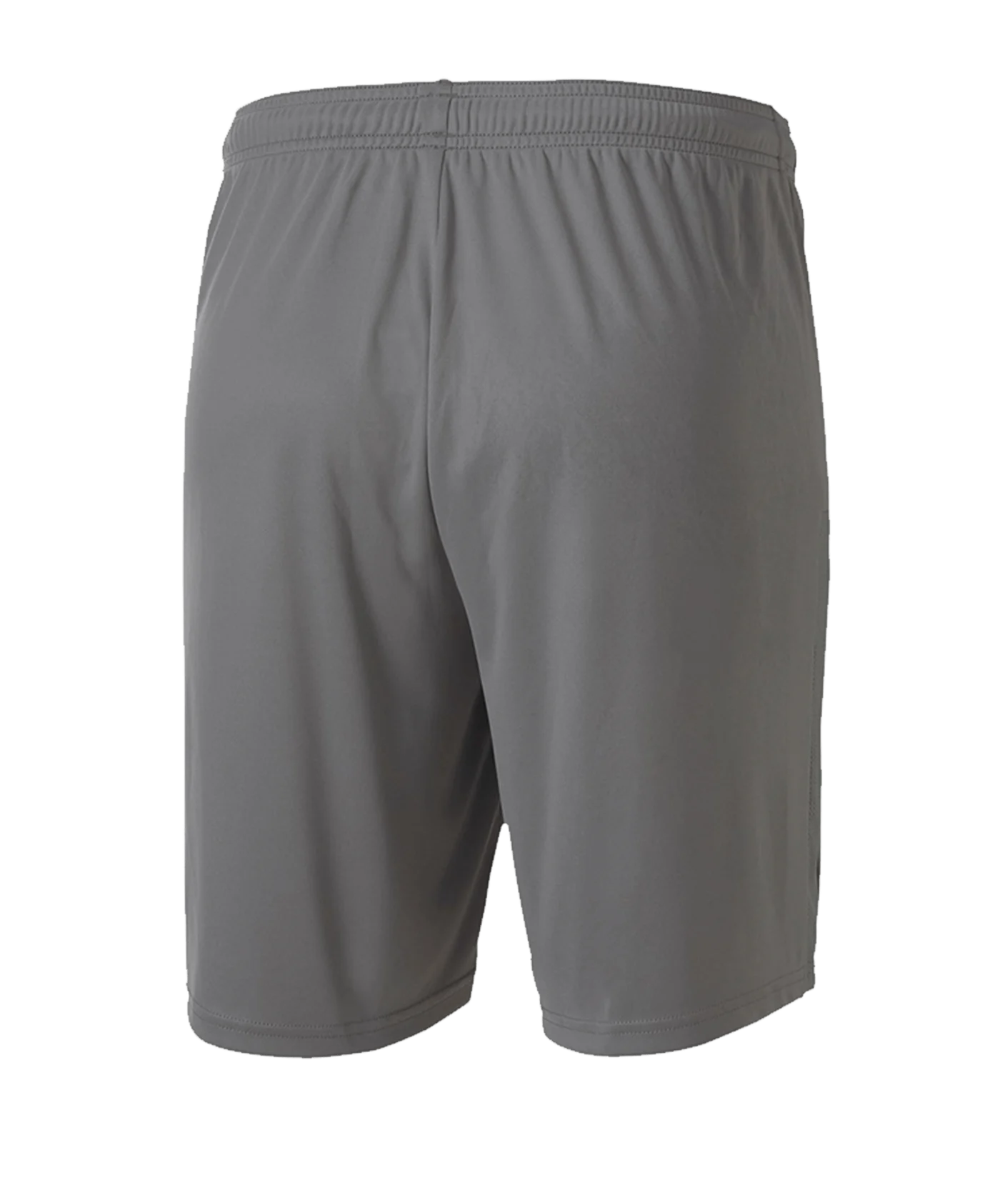 PUMA teamGOAL 23 Knit Short Grau F13