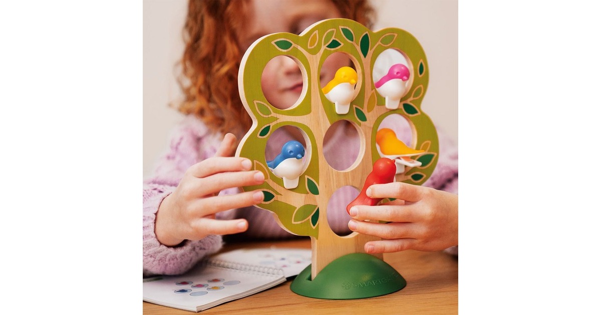 SmartGames5 Little Birds Denkspel  (Nederlands, 1 speler, Vanaf 5 jaar, 60 opdrachten)