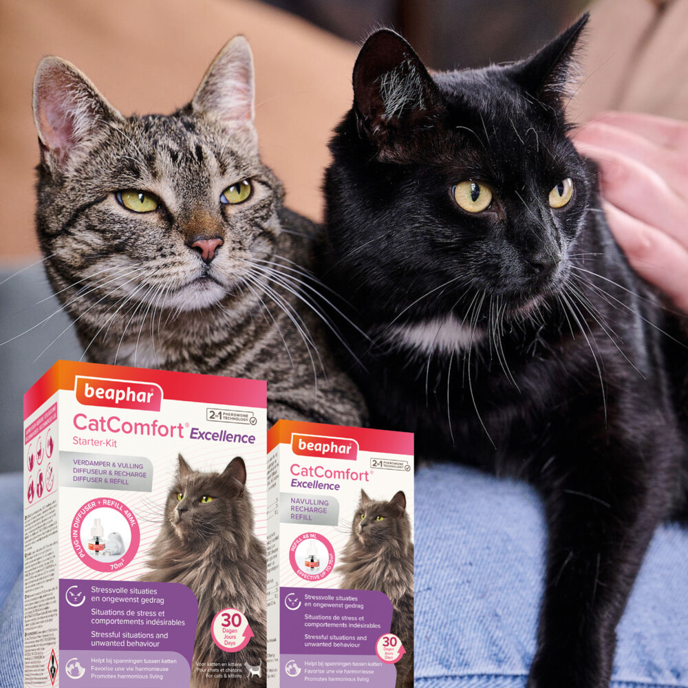 Beaphar CatComfort Excellence Starterskit Verdamper & Navulling48 ml