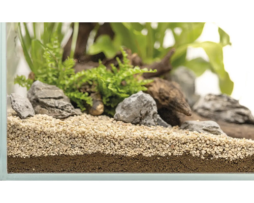 DENNERLE PLANTS substraat, ca. 0,5 mm, ca. 3 kg, bruin