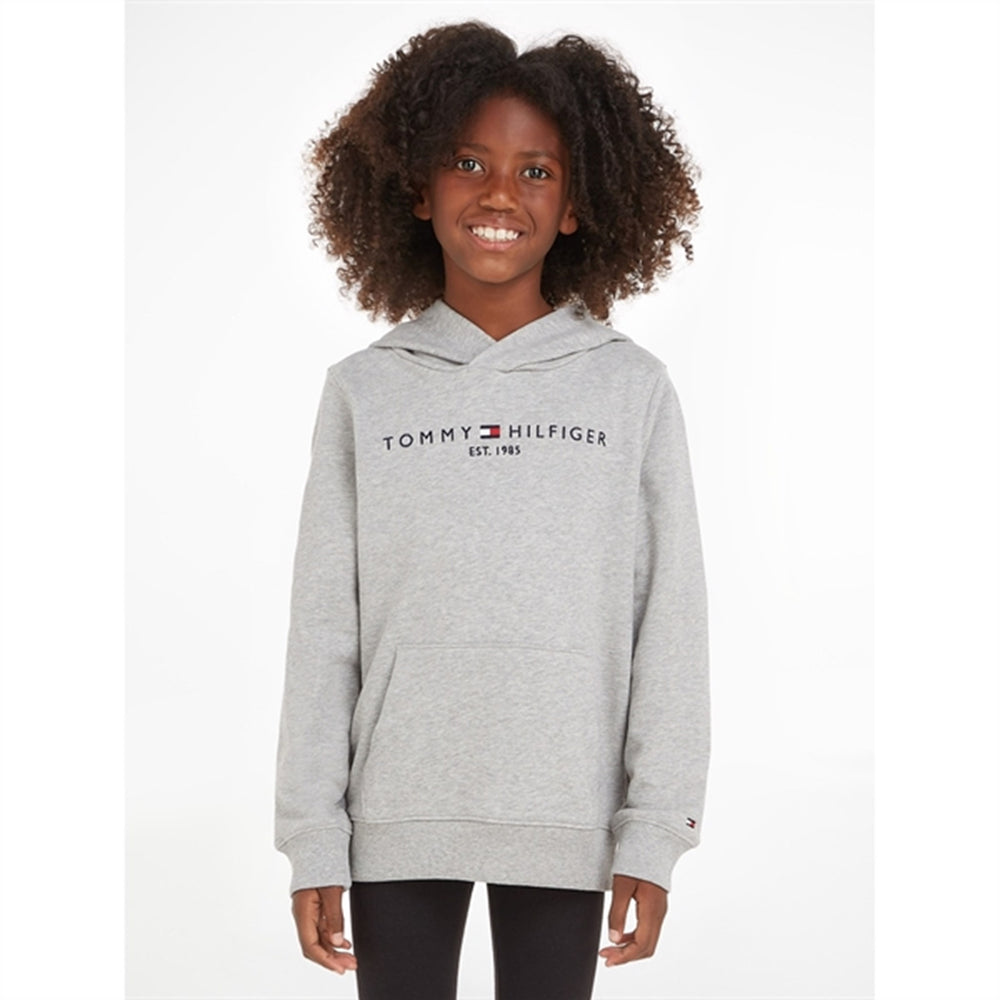 Køb Tommy Hilfiger Essential Hoodie Light Grey Heather