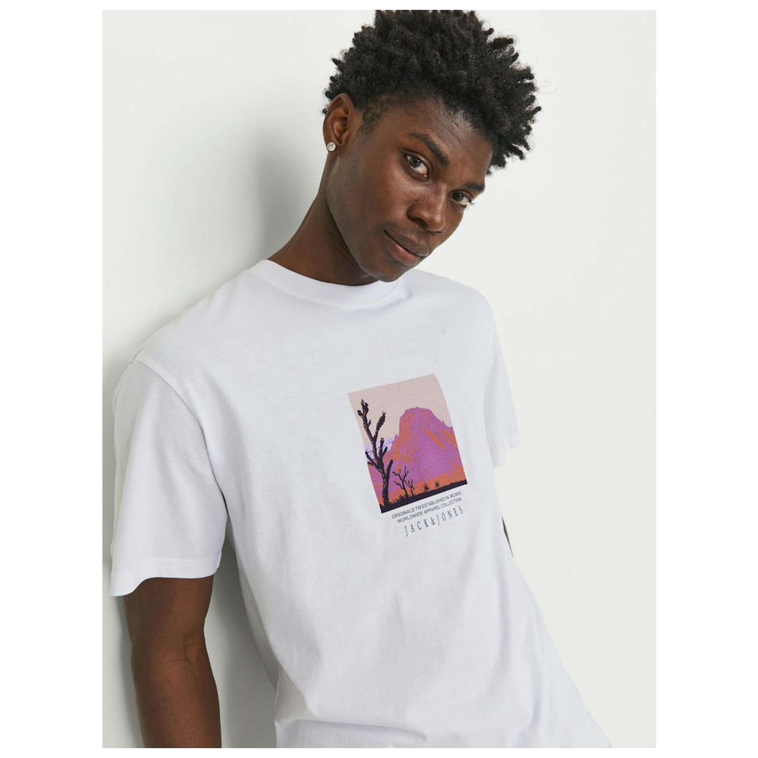 Jack & Jones JORLUCCA GRAPHIC TEE SS CREW N