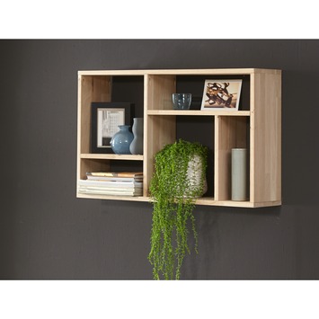 CanDo massief timmerpaneel vuren 250x40 cm 28 mm