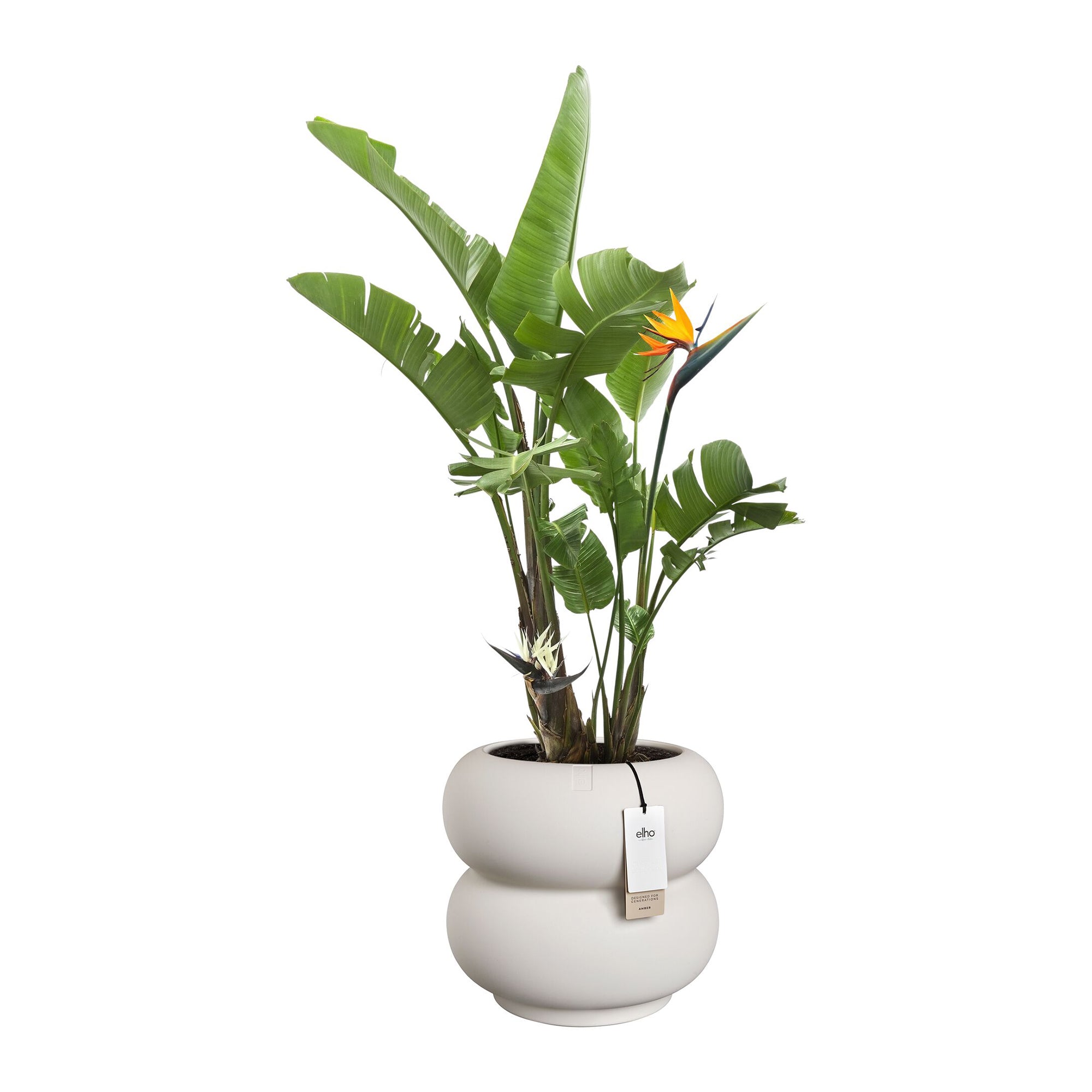Elho Amber Roll Low 43 - Linnen wit - Ã 43 x H 40 cm - Binnen en Buiten - 100% gerecycled kunststof