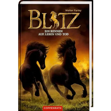 Coppenrath Verlag Blitz (Bd. 4) - Ein Rennen auf Leben und Tod