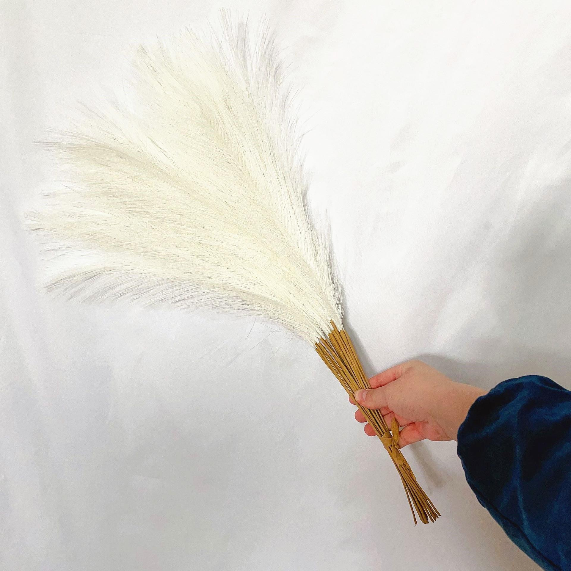 (10er Set) 55cm Deko Kunst Pampas Gras Boho Trockenblumen Hygge Lifestyle - Natur Weiss