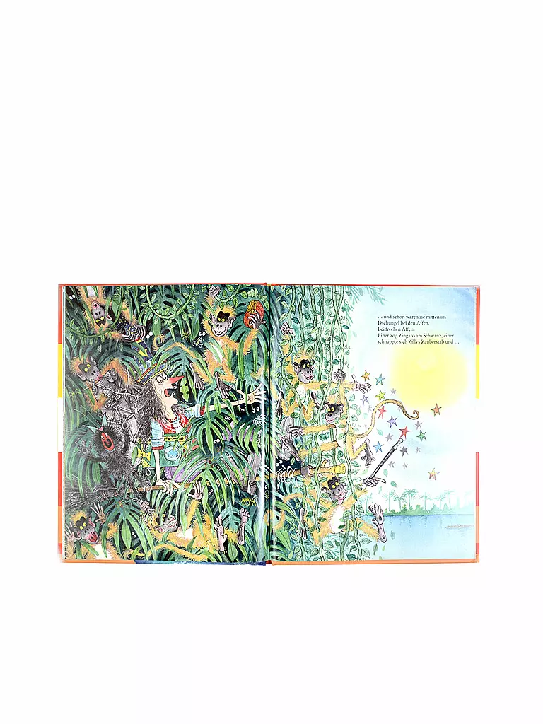 BELTZ & GELBERG VERLAG Buch - Zilly Zingaro. Reise um die Welt keine Farbe