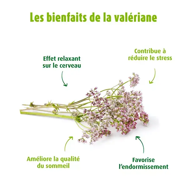 A.Vogel Valeriana Relaxante para Dormir 50ml
