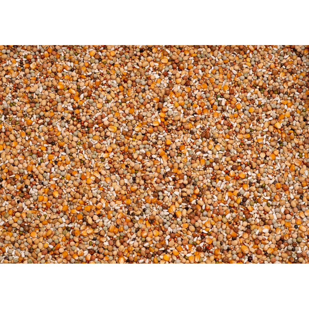 Beyers Premium Super Kweek 20 kg
