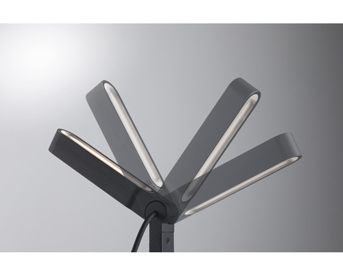 Paulmann Plug & Shine LED tuinspot 6W 450 lm 3000 K IP65 Ito verticaal enkel licht antraciet 230/24 V