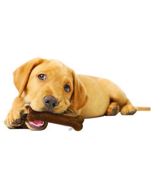 Nylabone Puppy Bone Flexible Bruin - Hondenspeelgoed