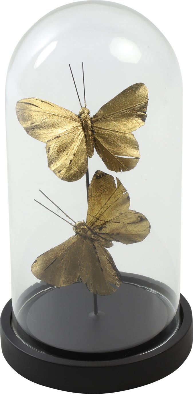 Countryfield glazen stolp Yasmin goud / zwart D 11,5 H 22 cm