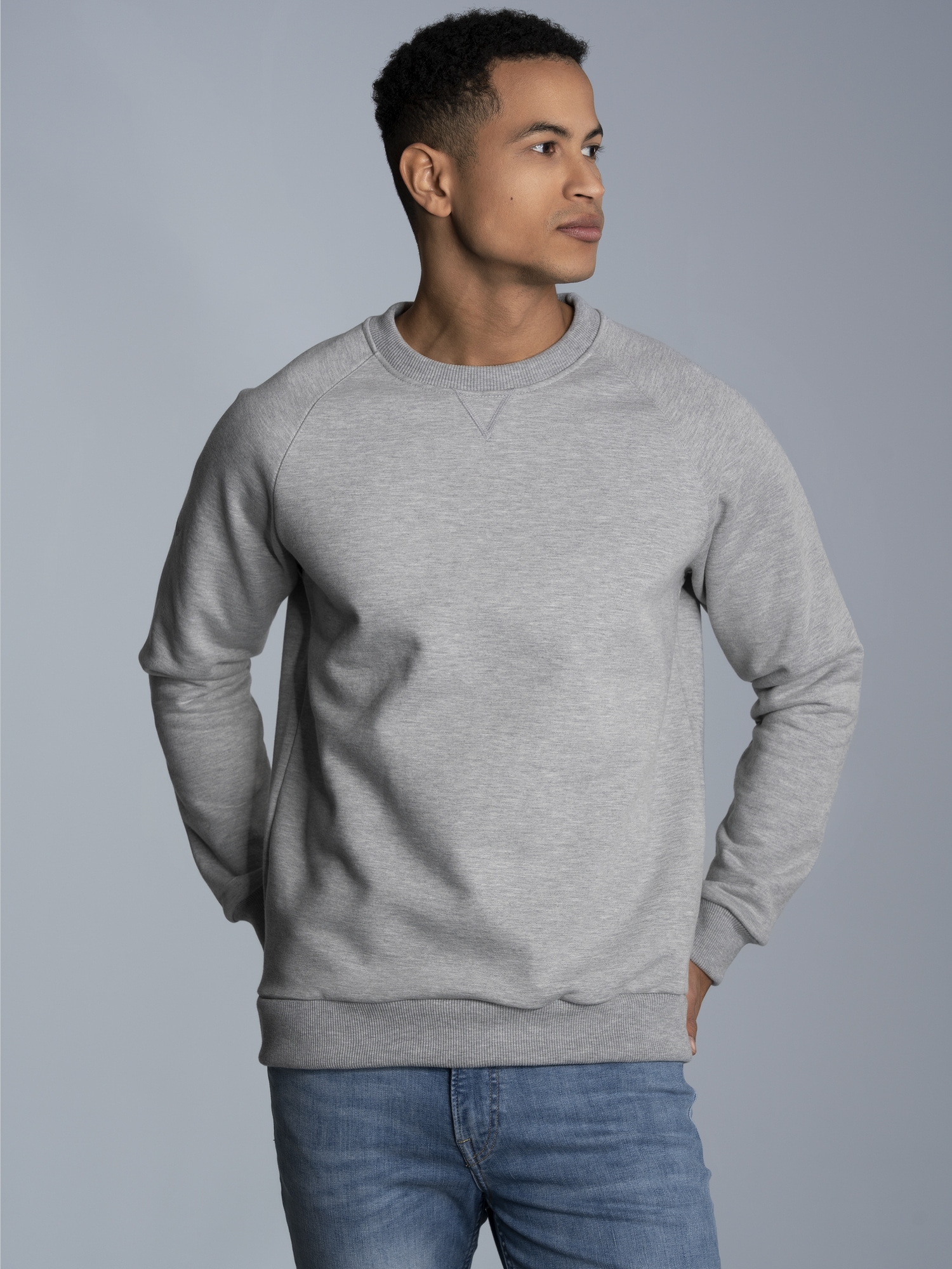 Sweatshirt mit angerauter Innenseite Grau-melange
