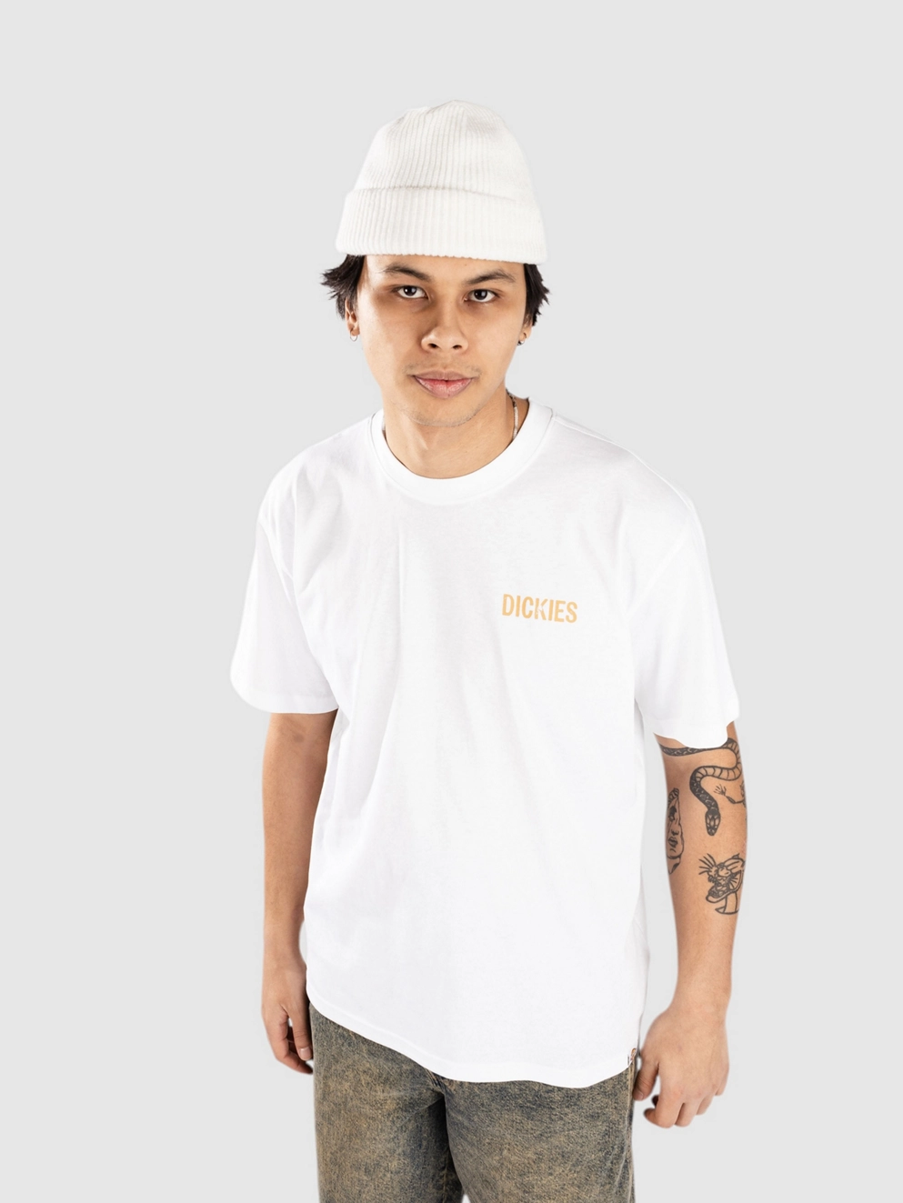 Dickies Companion T-Shirt white