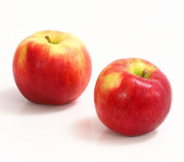 Allergikerapfel 'Santana'