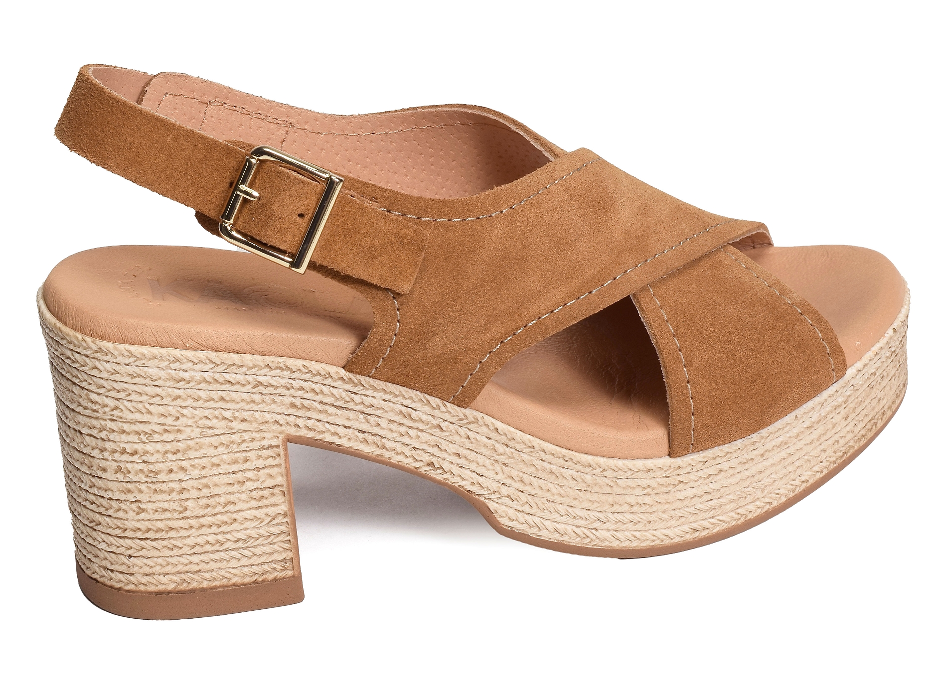 2504 camel