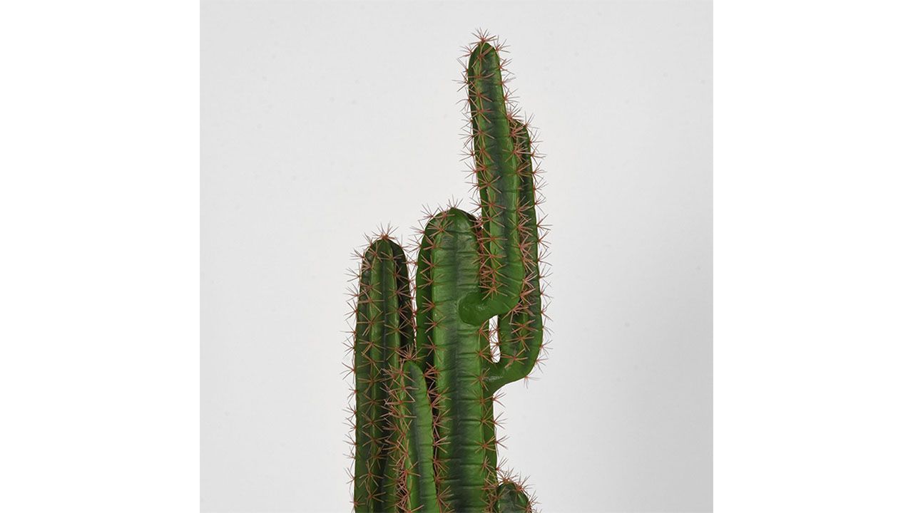Kunstplant Cactus DS-54.004B90 x D25 x H130 cm