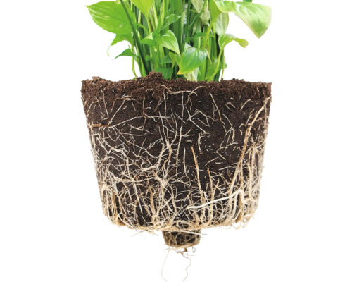 Ecopots Oslo kunststof bloempot, Ø 14,5 cm, 16 x 16 x 13,7 cm, grijswit